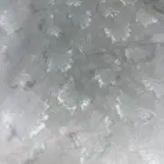 みことの画像