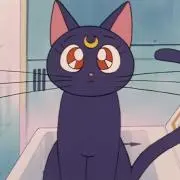 na.cc 14-16返信発送❌の画像