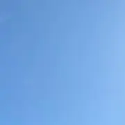ゆゆの画像