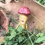 りーち君の画像