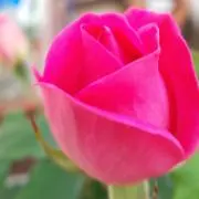 yu♪123(๑ᵔ ᵕ ᵔ๑)の画像