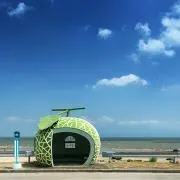 なかちゃんの画像