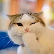 pogo