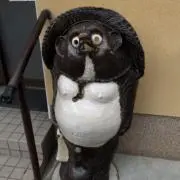 ハルの画像