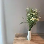 tmgayの画像