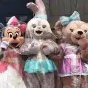くーちゃんの画像