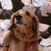 かすてら※即購入可の画像