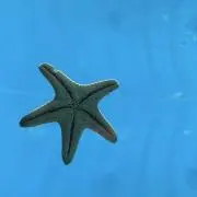 ☆4tmmtプロフ確認必須☆の画像