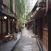 めんの画像