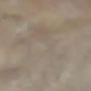 Mayの画像