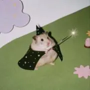 kangの画像