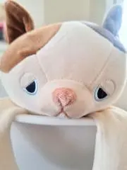 masの画像