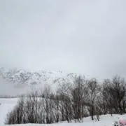 Seの画像