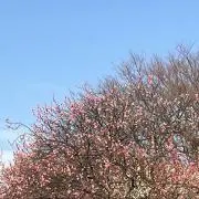 趣味会社員の画像