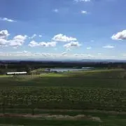 Mukaiの画像