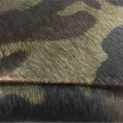 RYの画像