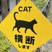 モネコの画像