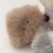 ✦の画像