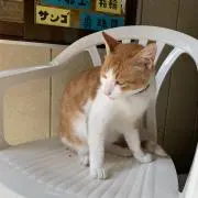 Momo@プロフ確認お願いします！