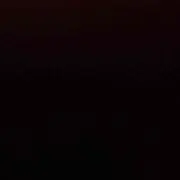 プロフ必読