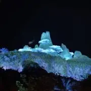 ★の画像