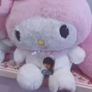 Yの画像