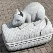チェレステの画像