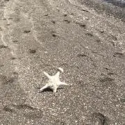 miの画像