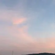 ひまわりの画像