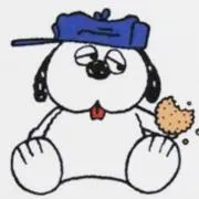 わたわた