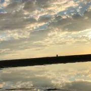 nanatownの画像
