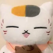 しかちゃんの画像