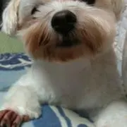MARU