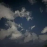 革軸ペン スモールクロコダイル ポロサス 加藤金属 - メルカリ