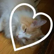 遥の画像