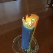 たんたんの画像