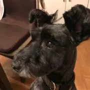 MINART プロフ必読！