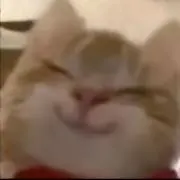 源江の画像