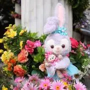うさふぃーの画像