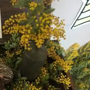 nana