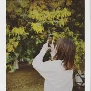 Muの画像