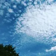 412525の画像