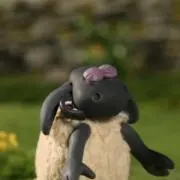 梨の画像