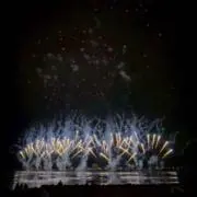 ひまわり