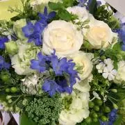 rose0303の画像