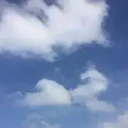 ゆいママ