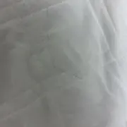 毛さんの画像