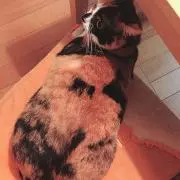 ソウスケ
