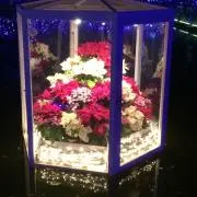 yuu0307の画像