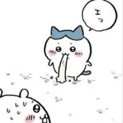 シエルの画像